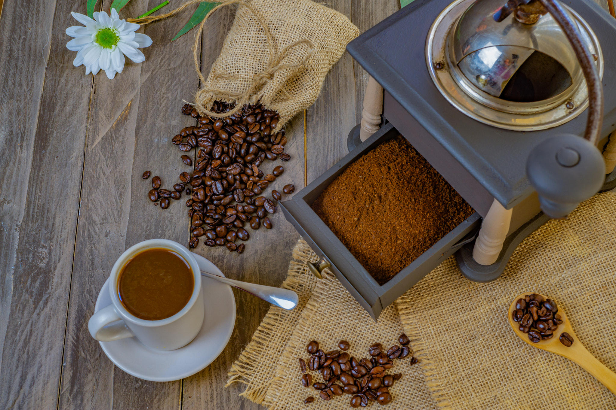 coffee beans and ground coffee