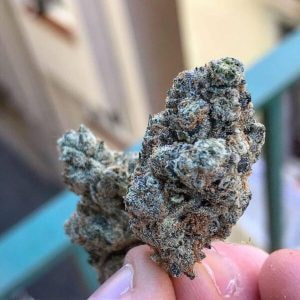 v2?sig=645da24f0435de1a44646b1c983fbbe5f0800936472867afd5c6c6c03812c3de