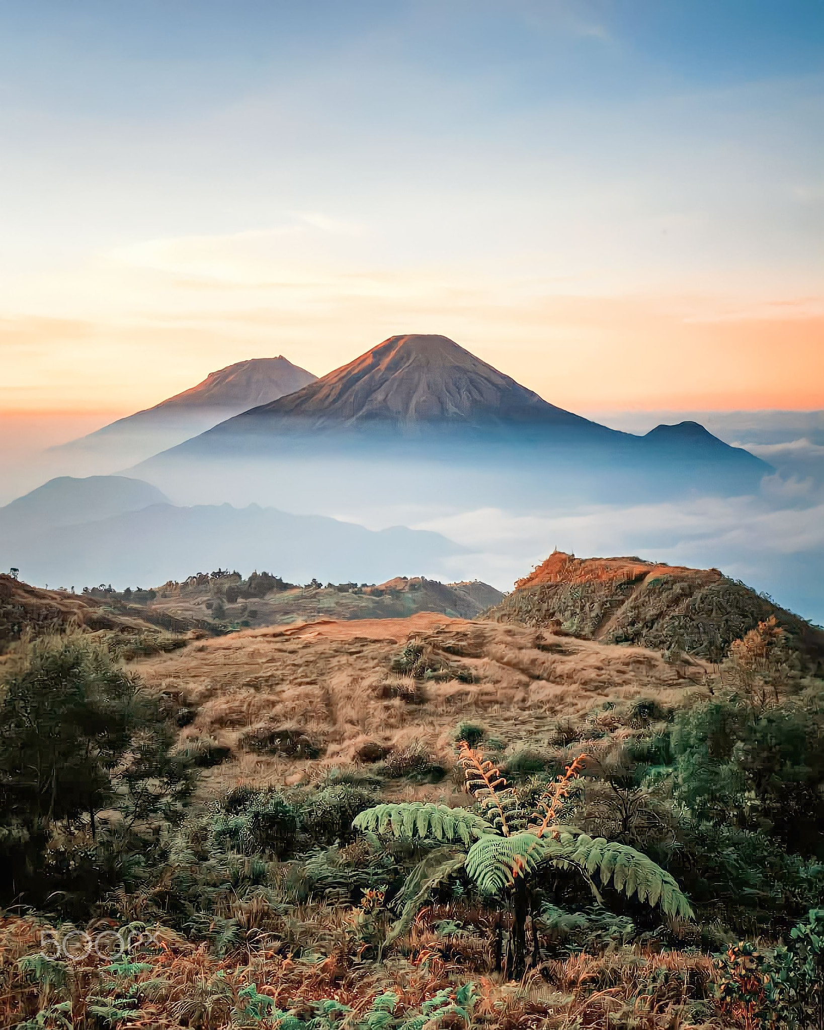 Pegunungan udara segar