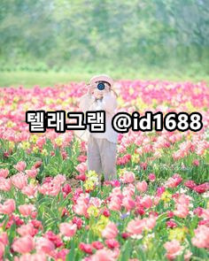 11번가아이디구매 텔래그램 @idnara66 네이버실명계정거래 #네이버계정판매 ♀ 네이버생성계정팝니다 ☑ 네이버종토방아이디구입 ⊙⊙