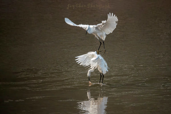 悠然(Jay Chen) (vcg-b29ea100845b5a69e35f6610c98e15846) Profile / 500px