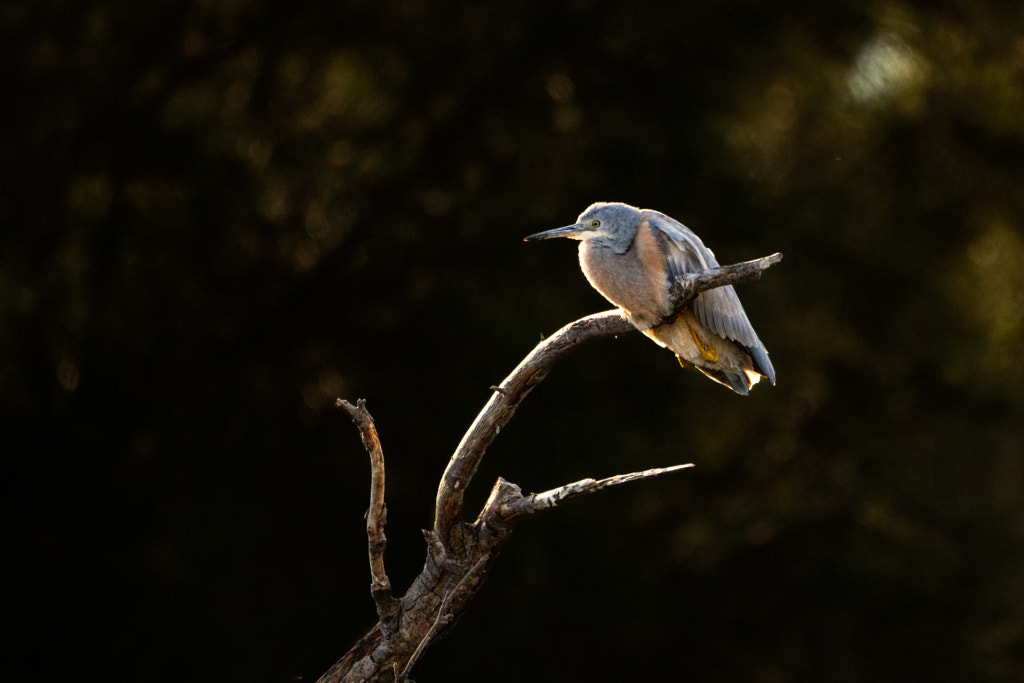 Time For Bed by Paul Amyes on 500px.com