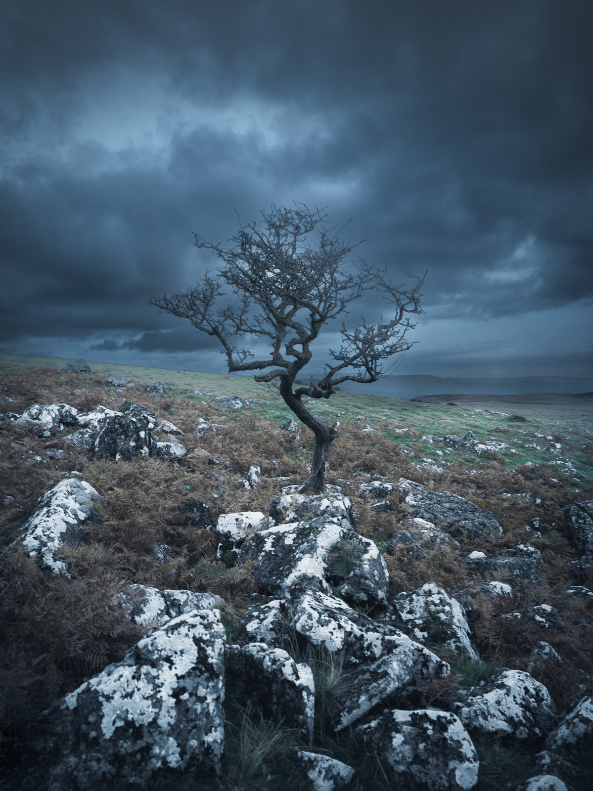 Whispers from Dartmoor