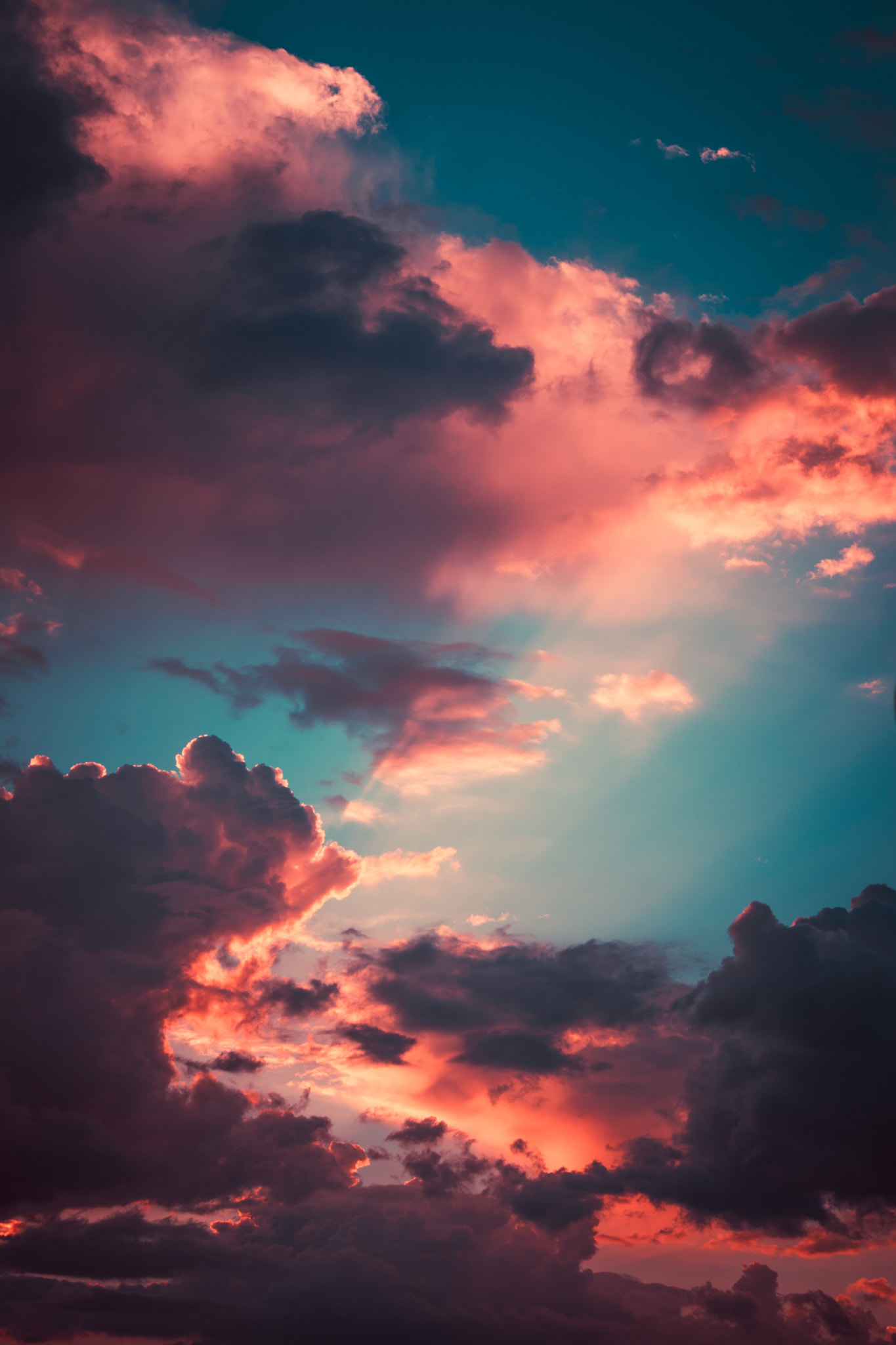 beautiful sky in the sunset
