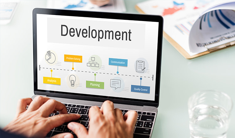 Custom Web Development services Mohali