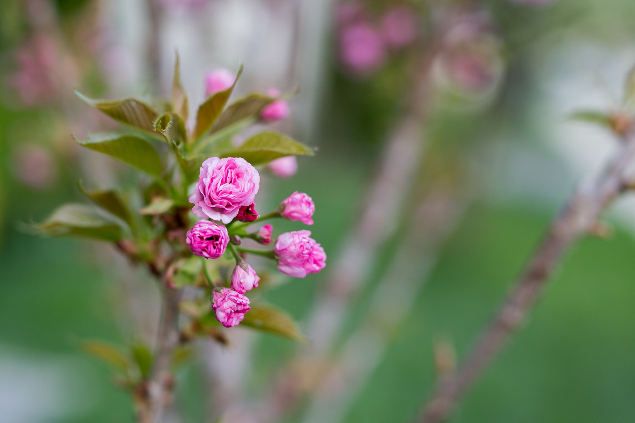 v2?sig=b491efd7a5e905f14f5daed6dd1d70456151f34a280304ddcef93f574f5d944a