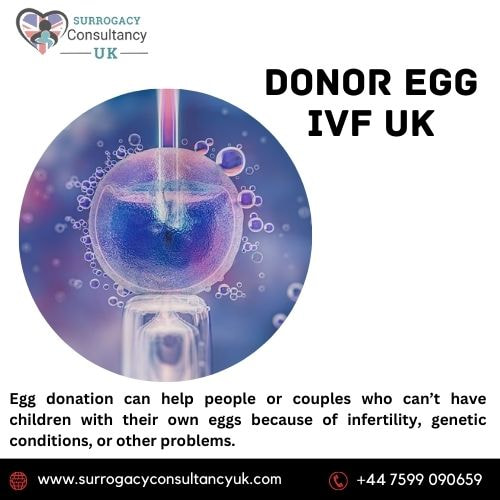 Donor Egg IVF UK