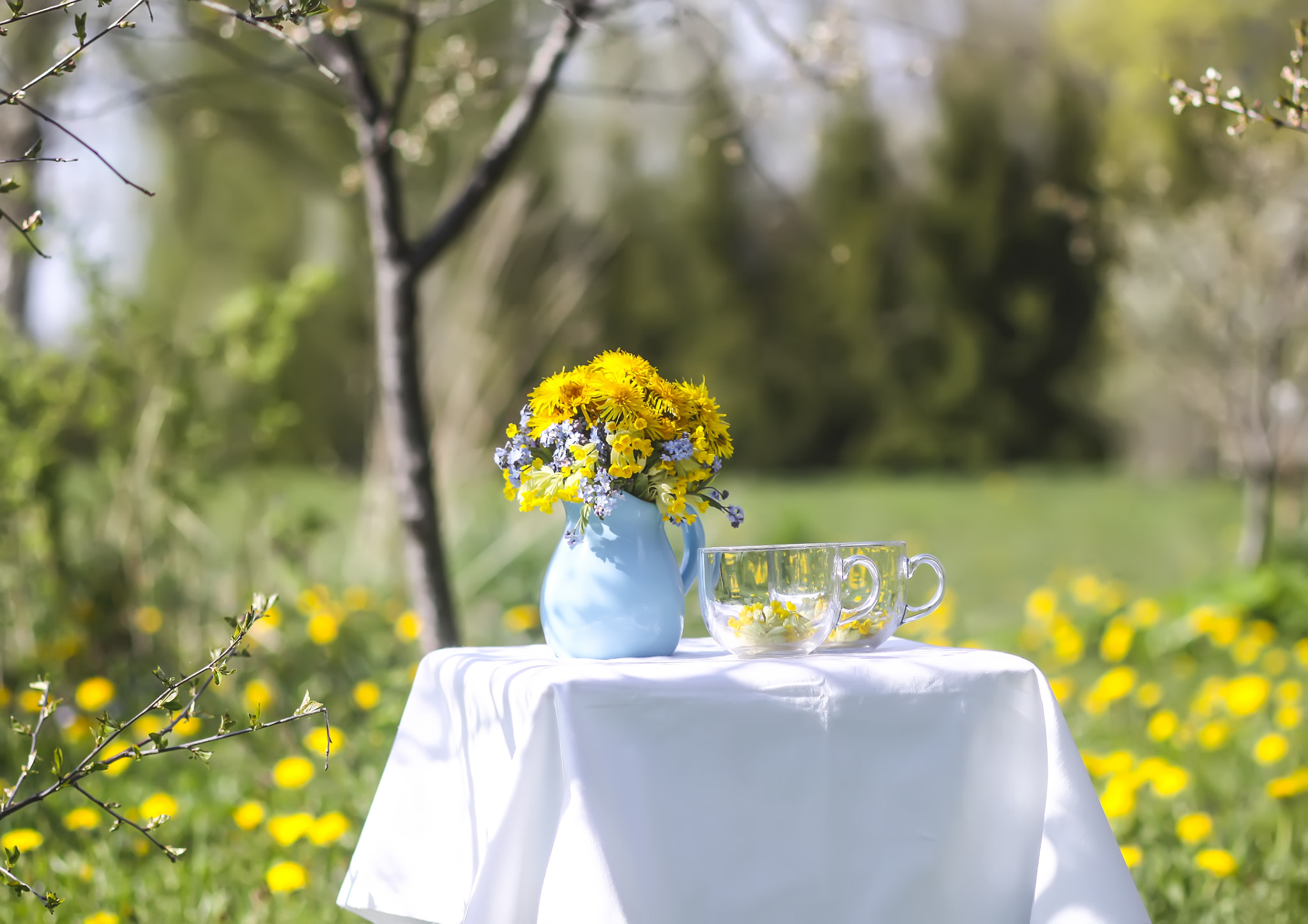 v2?sig=1765fcb4e098044e066a640134c8d2a2c