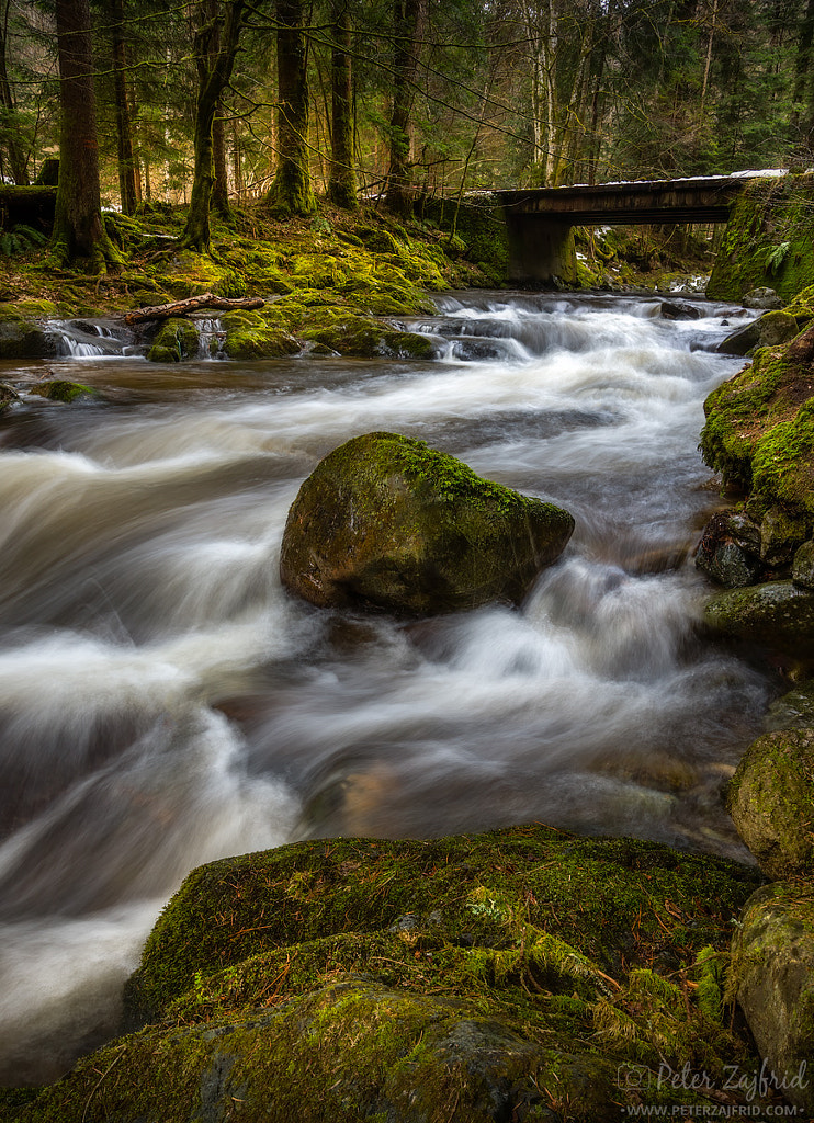 Colorful creek by Peter Zajfrid / 500px