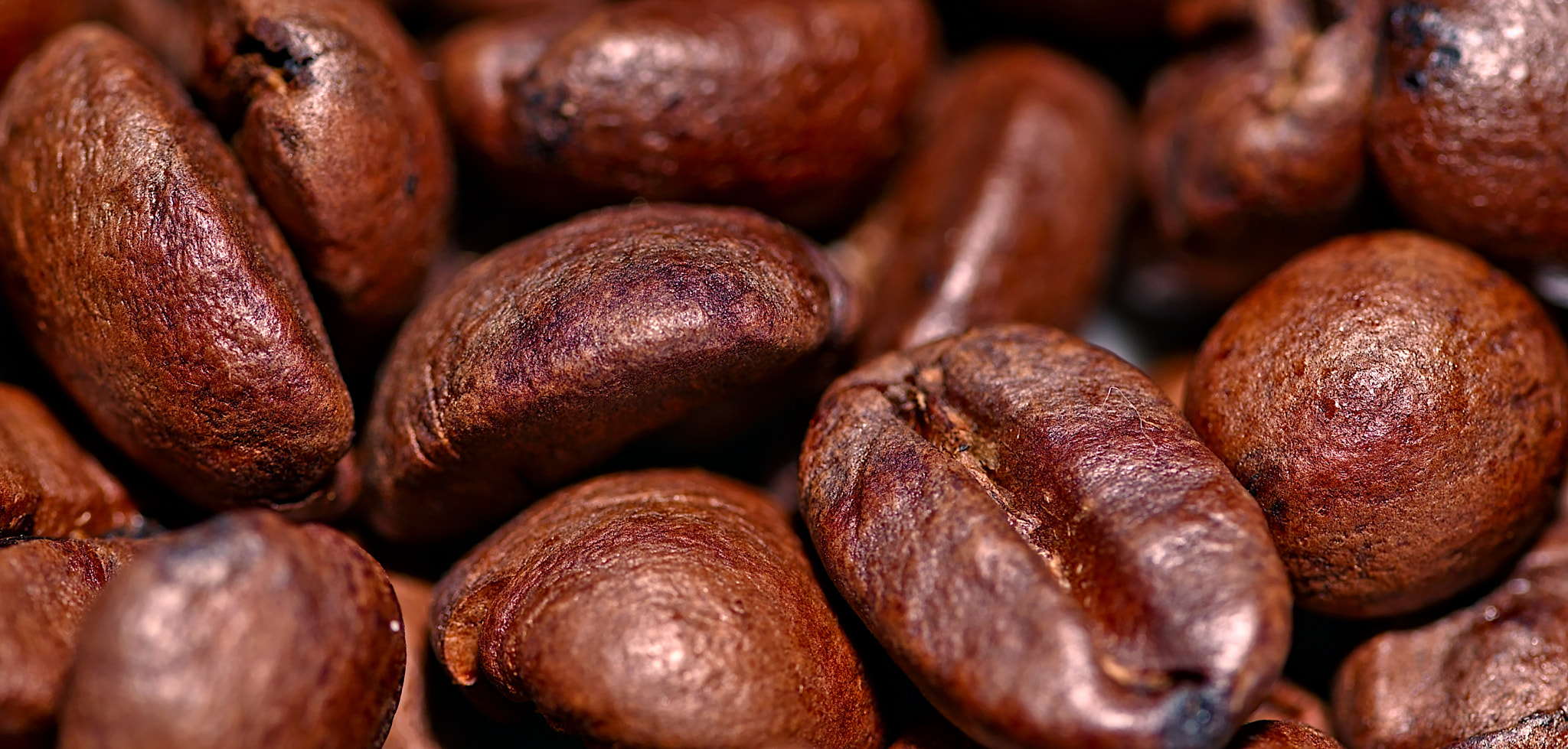 coffee beans