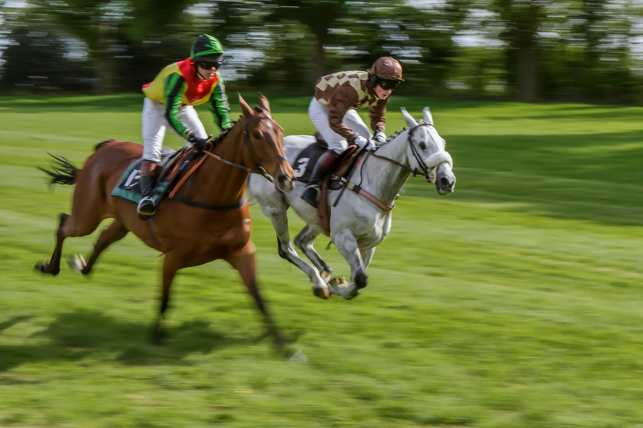 Point to Point Racing at Godstone