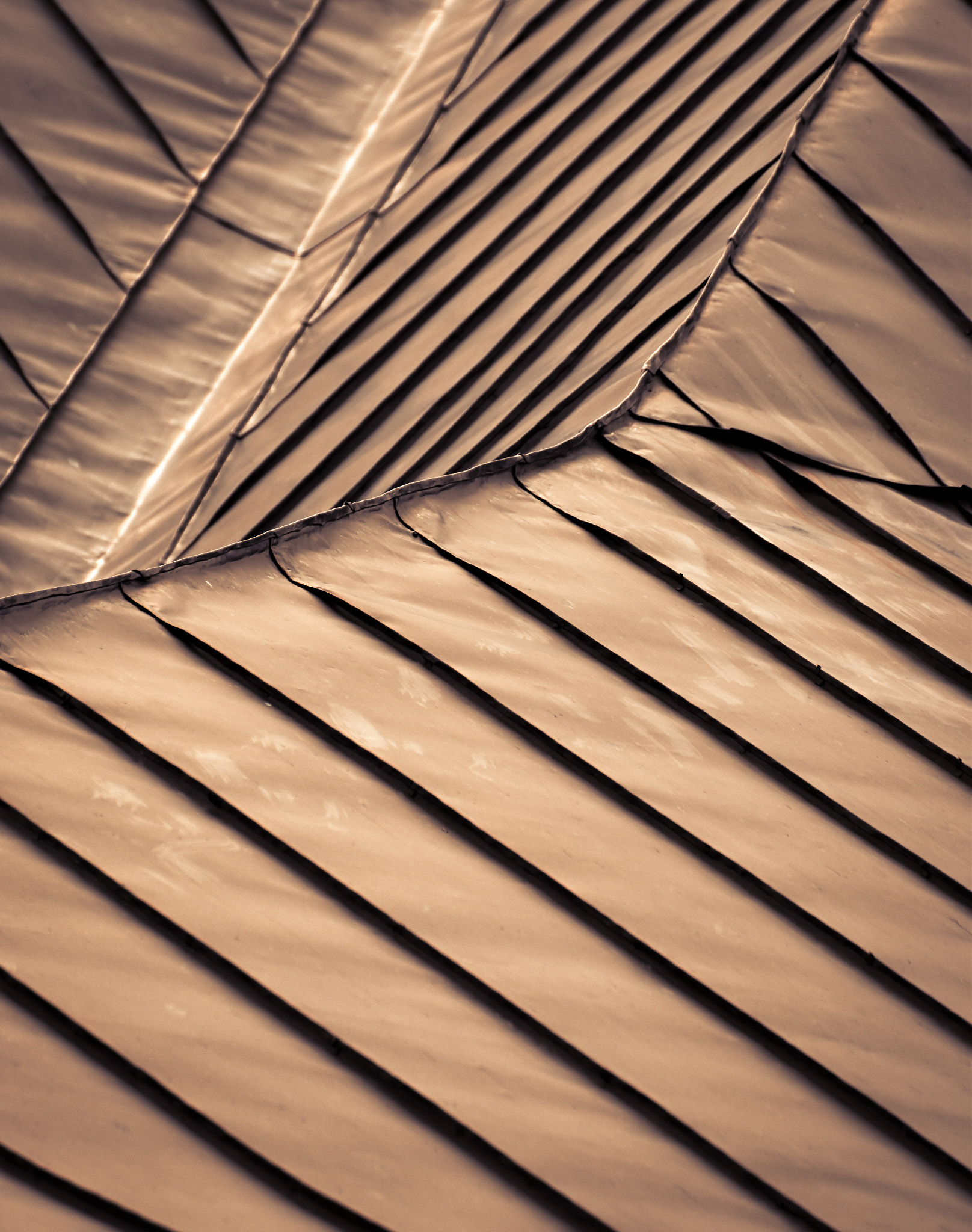 detail steel roof