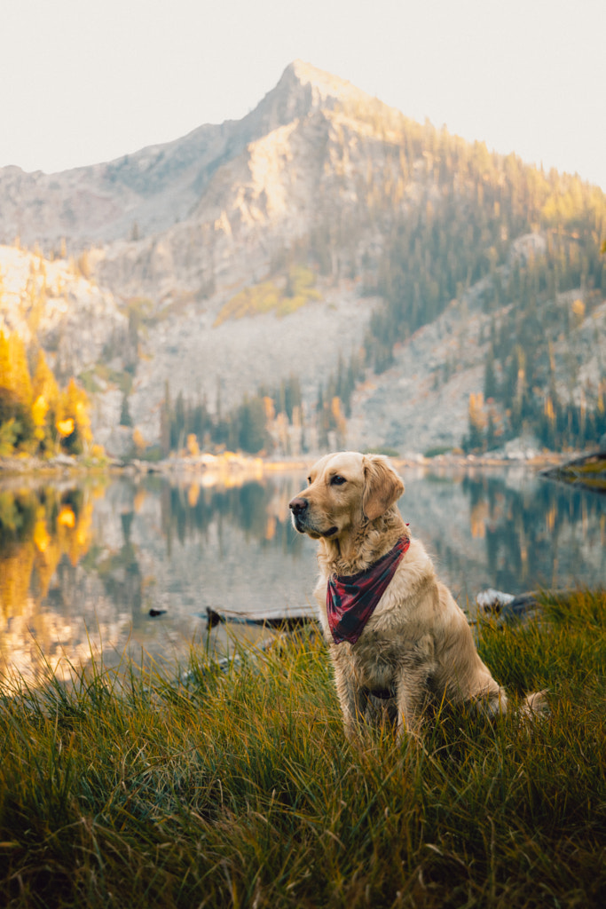 fier petit randonneur par Sam Brockway sur 500px.com