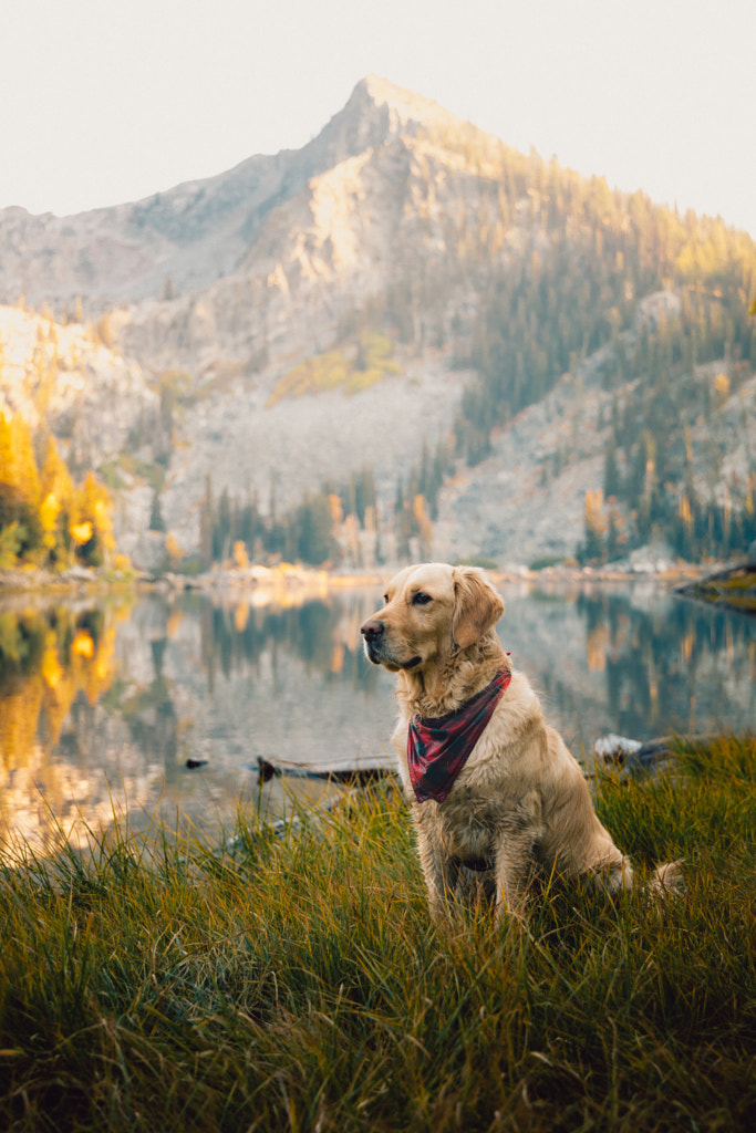 proud lil hiker by Sam Brockway on 500px.com