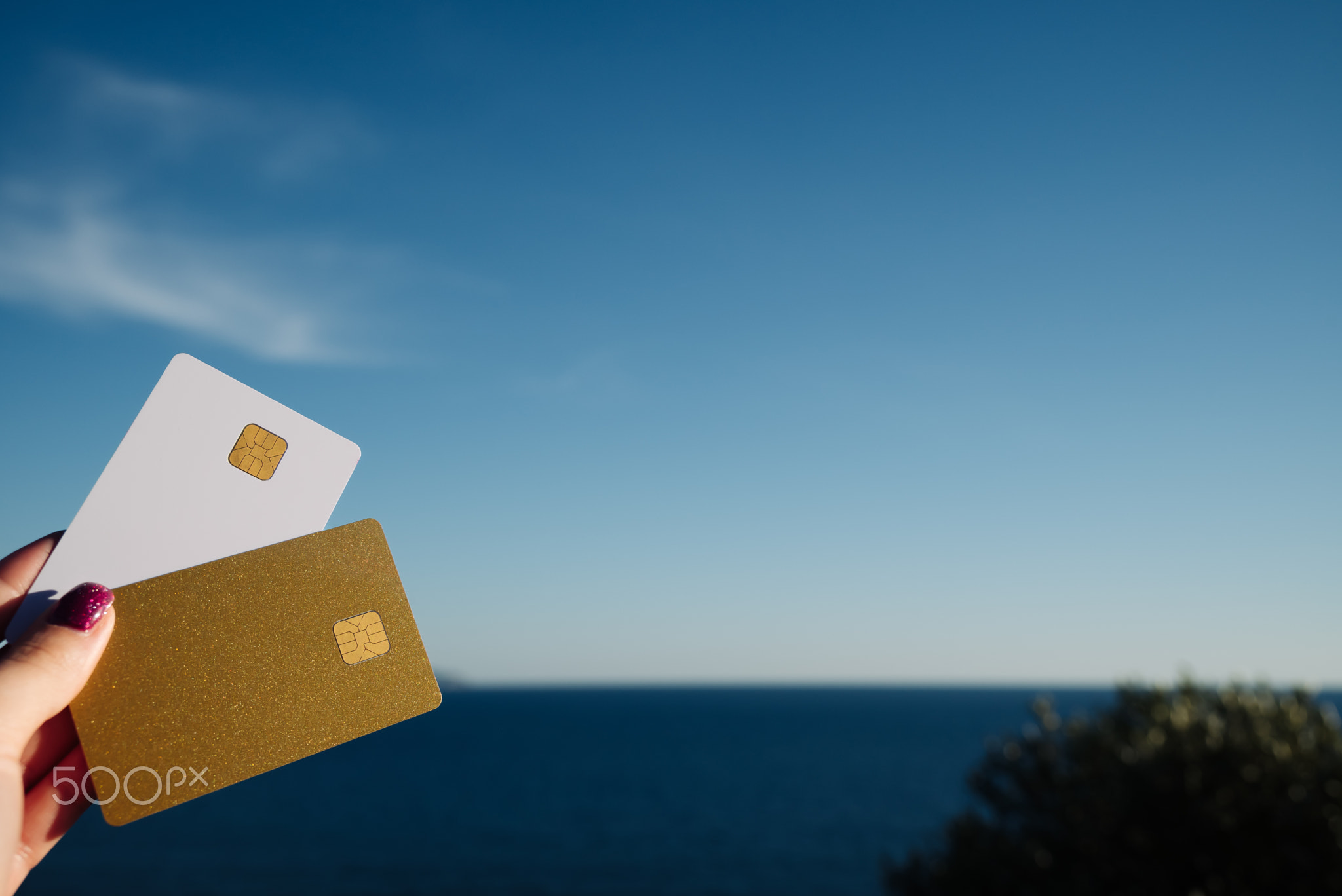 Golden and White Bank Card In Woman Hand On Background Of Scenic View