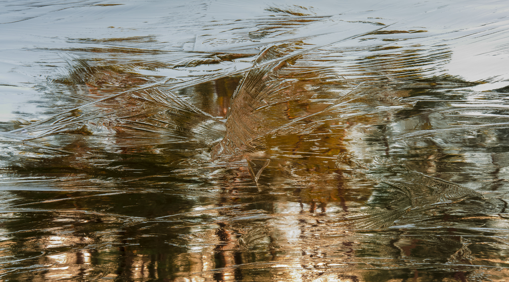 Ice III by Carl Othar Olsen / 500px