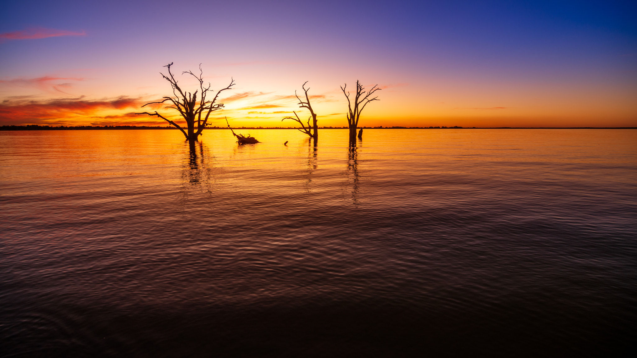 Lake bonney sunset