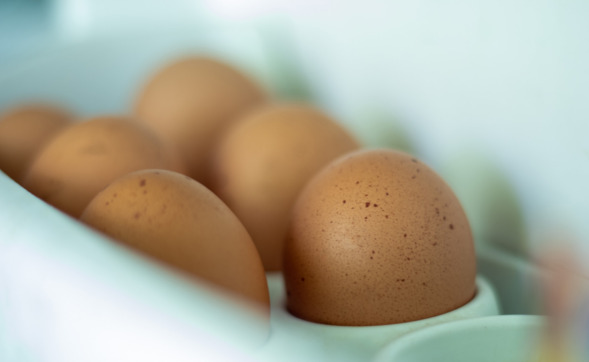 Raw chicken eggs in the refrigerator, close-up. Brown eggs in an egg rag on a shelf on the refrigera