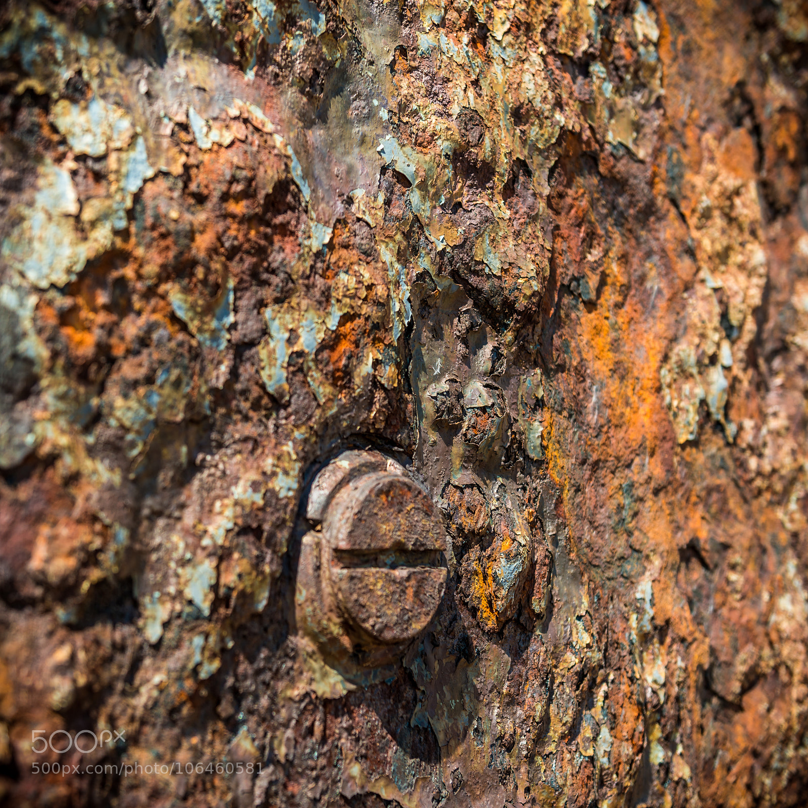 Nikon D800 sample photo. Rust texture 2  wd40 required.... photography