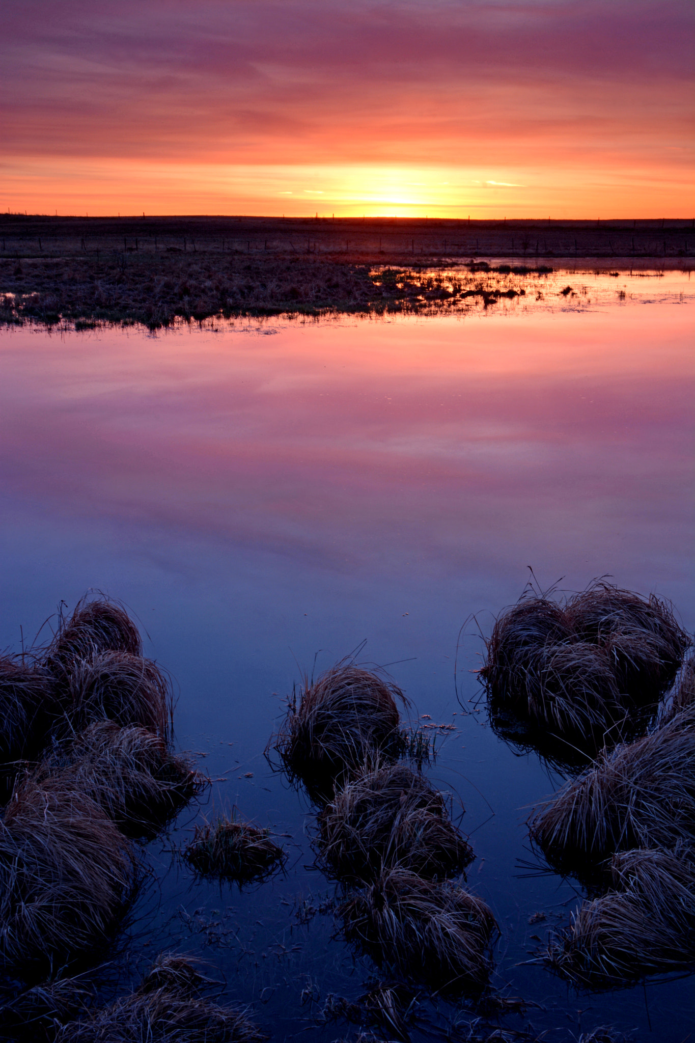 Sunrise Pond