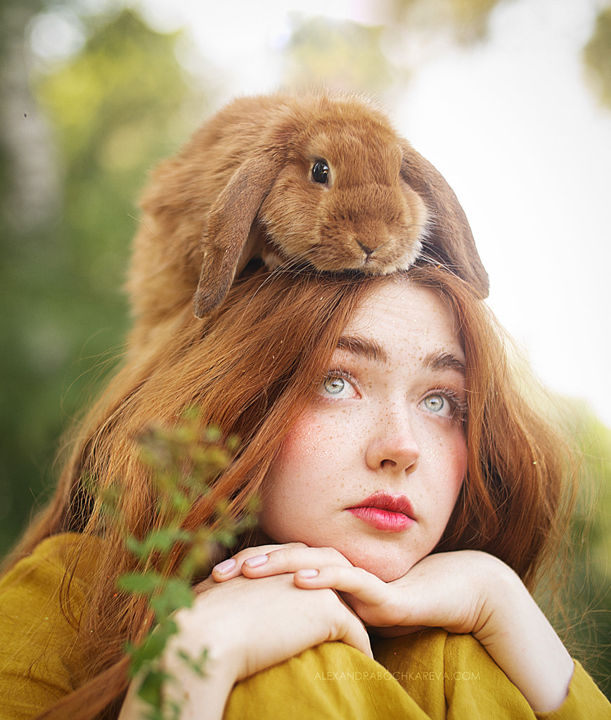 Follow the Rabbit by Alexandra Bochkareva on 500px.com