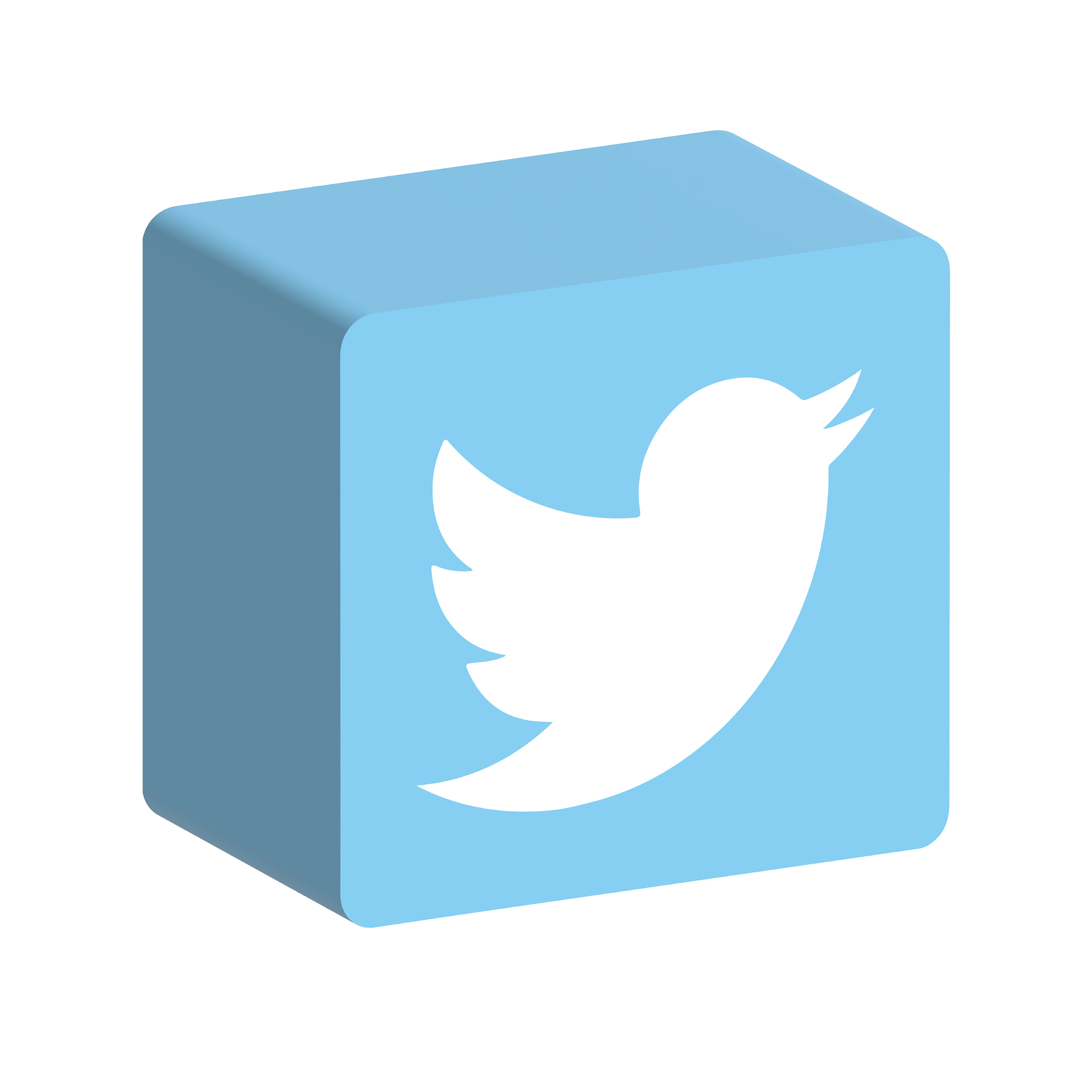 Twitter logo 3d rendering on white background