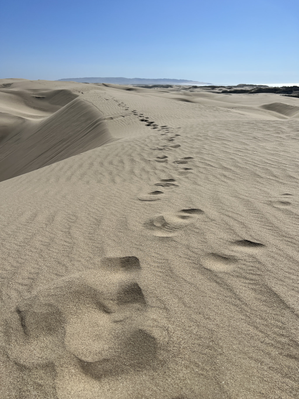 Oceano Dunes, CA