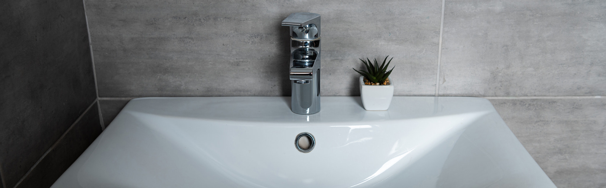 panoramic shot washbasin plant modern