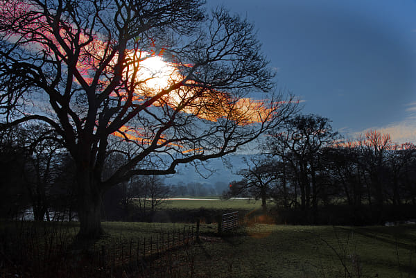 Gordon Tweedale (GordonTweedale) Profile / 500px