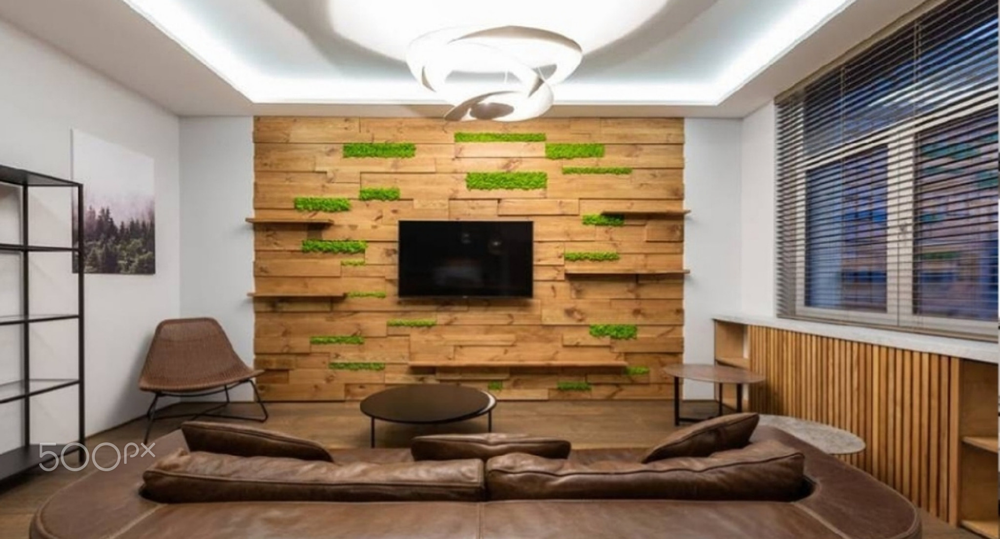 Wooden shelves with plants and a TV