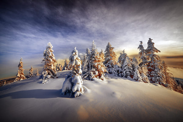 Robert Didierjean (tenchinage) Profile   500px