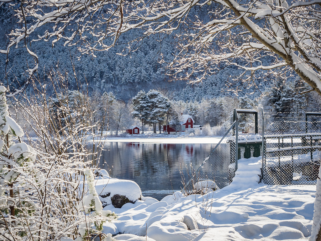 Still winter by torstein holm 500px