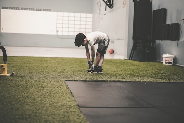 Artificial Grass Gilbert, AZ
