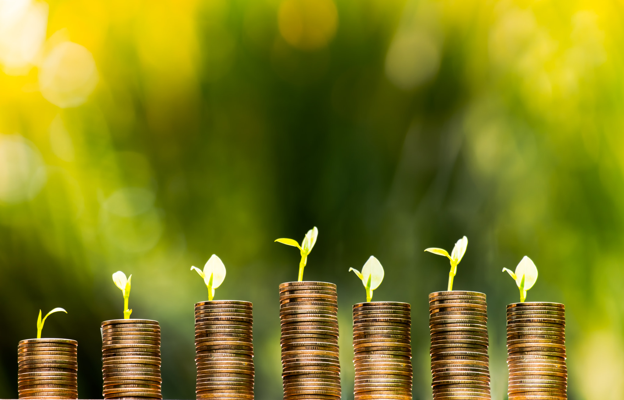 Finance and Money concept,tree growing on coin of stacking gold coins with green bokeh background