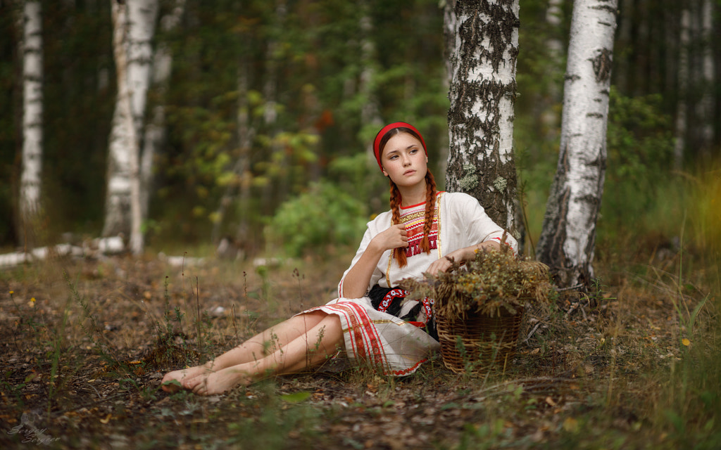  In a birch grove by Sergey Sergeev on 500px.com