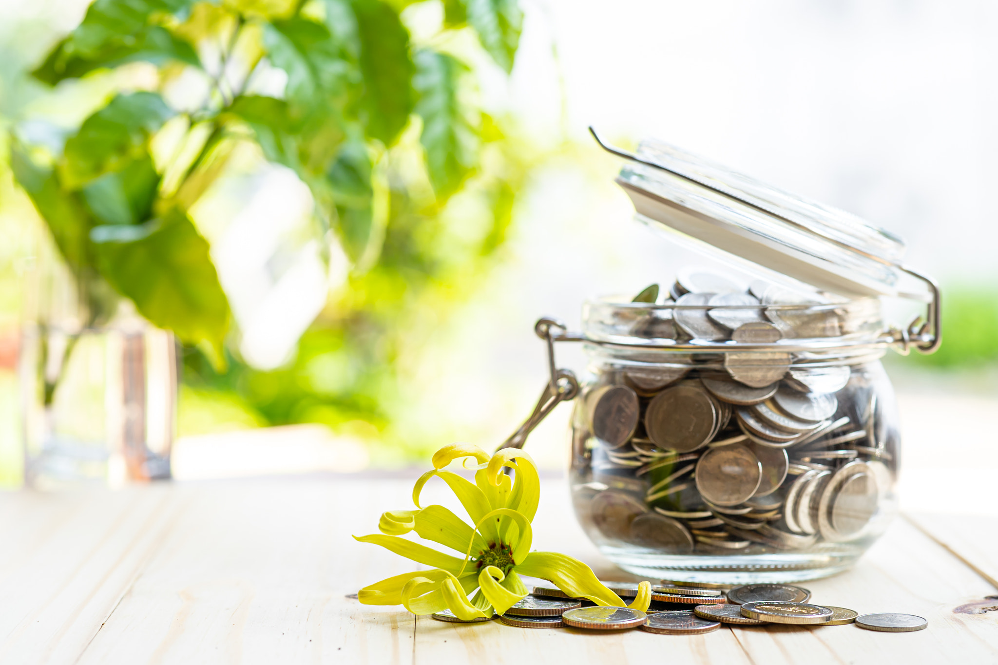 Save money coins in grass jar, Business finance investment concept.