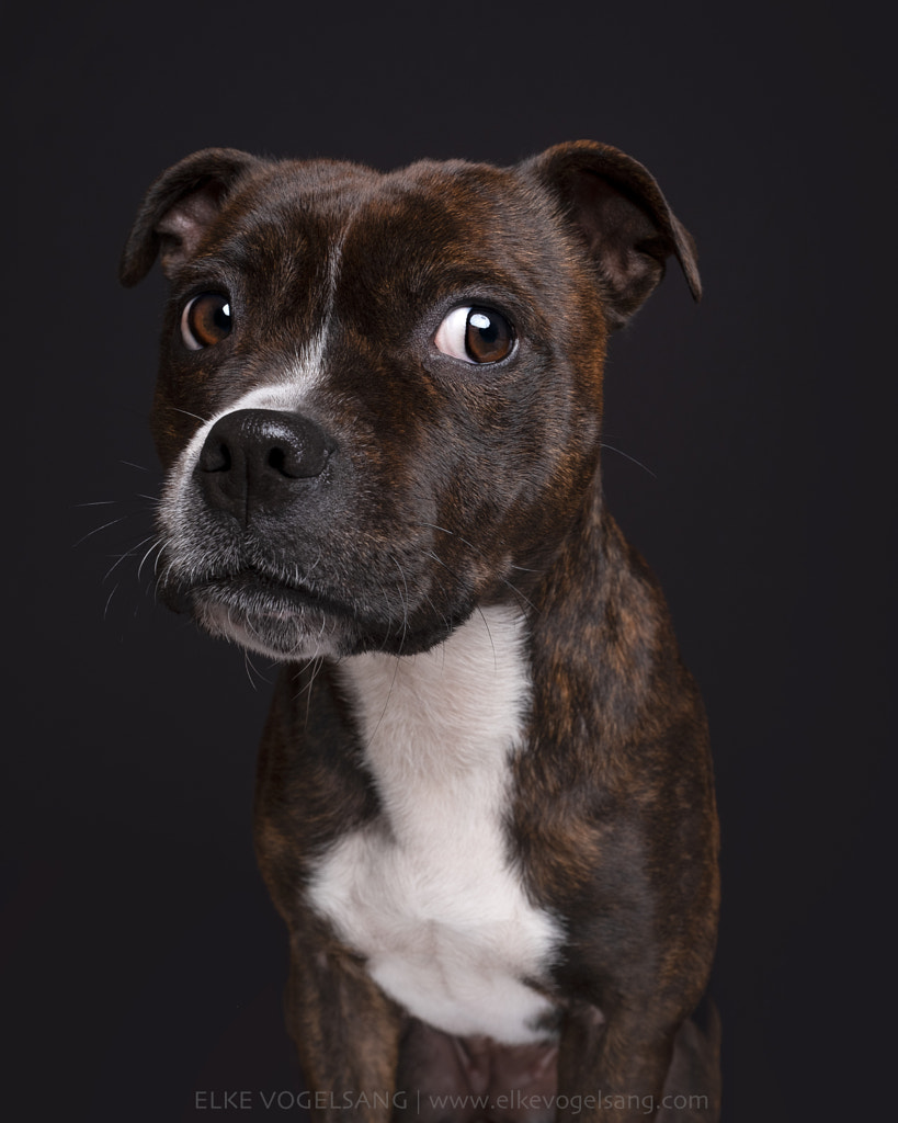 Side-eye by Elke Vogelsang / 500px