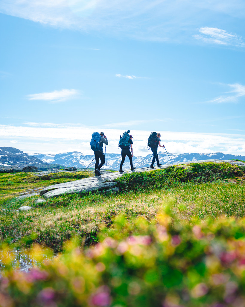 Summer hikes by Mike Tesselaar on 500px.com