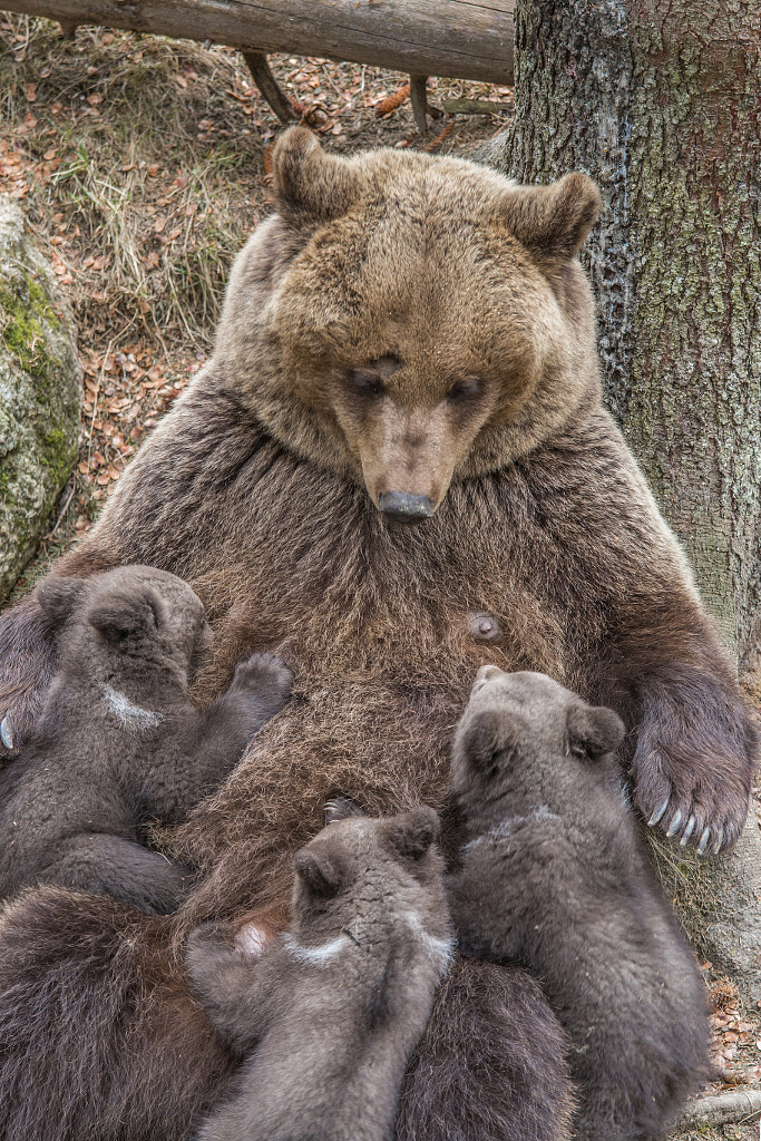 proud mom by Benny Stoors on 500px