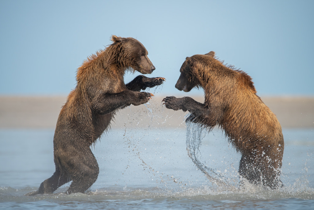 Siblings playing fight at the beach by Hao Jiang on 500px.com