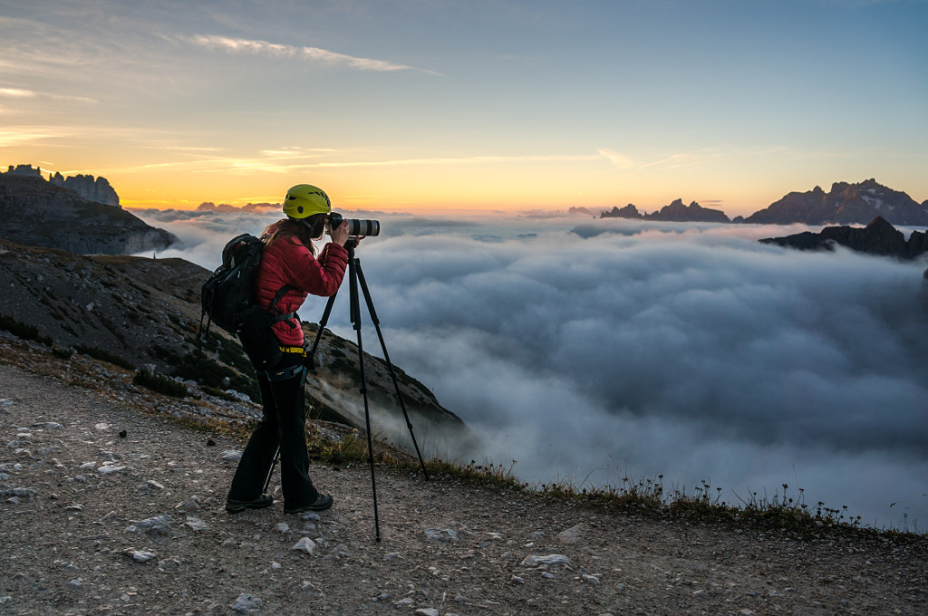 Traveler Photographer