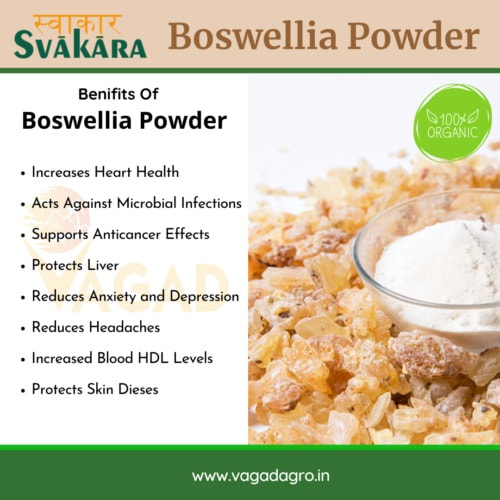 Health Benefits Boswellia Serrata Powder