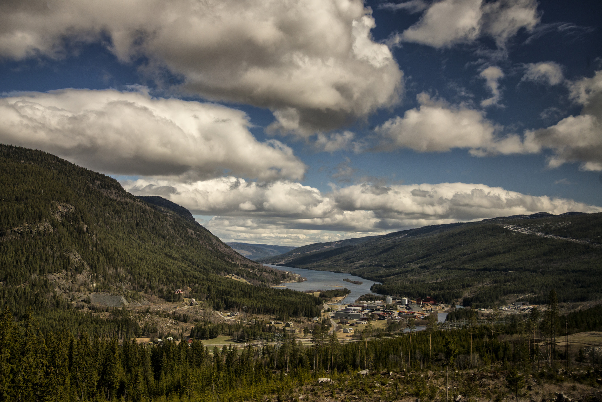 Norway Spring