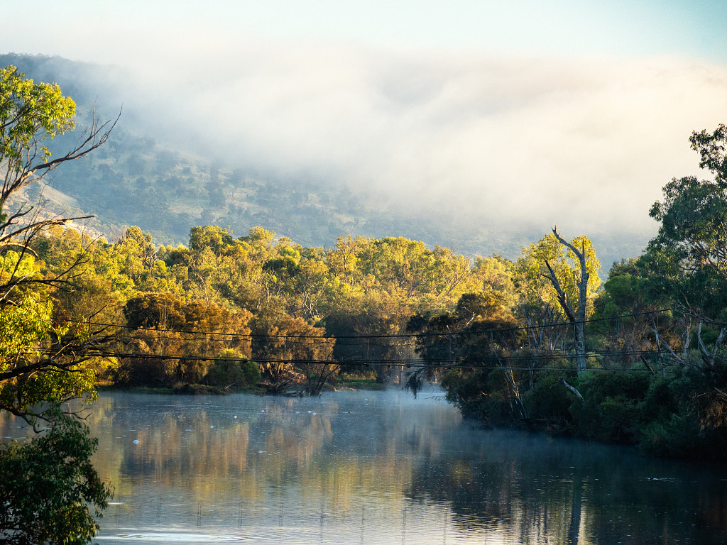 Morning Mist by Paul Amyes on 500px.com