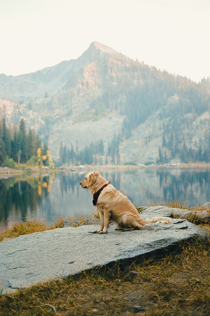 stoic baker on 35mm by Sam Brockway on 500px.com