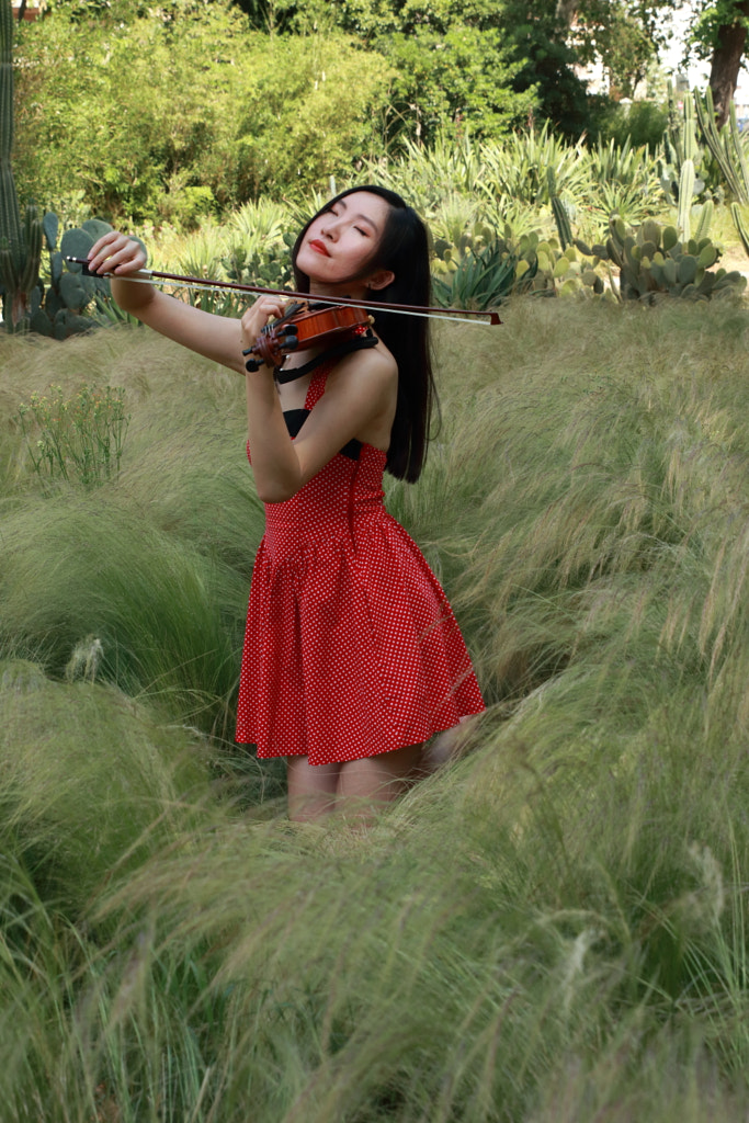 IMG_9463 by Bruno Vilbé / 500px