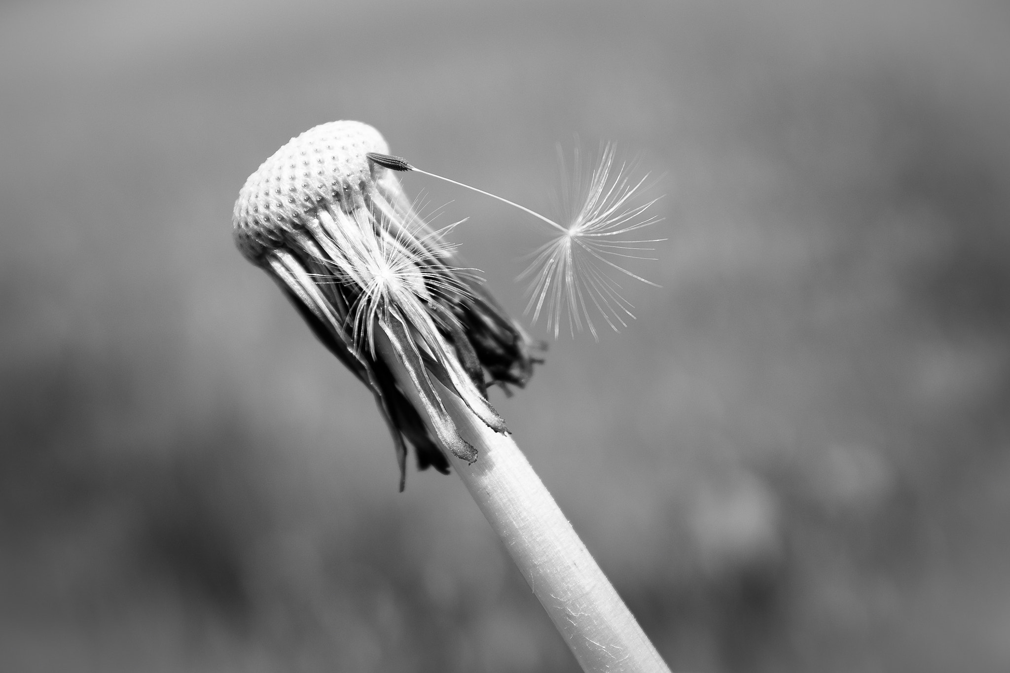 v2?sig=8c361a27d11006d4d81d65bbb90429db6c4b93b7fe7a6ad8d2ad5f7cccb33044