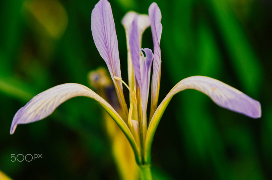 背景幕photos 500px