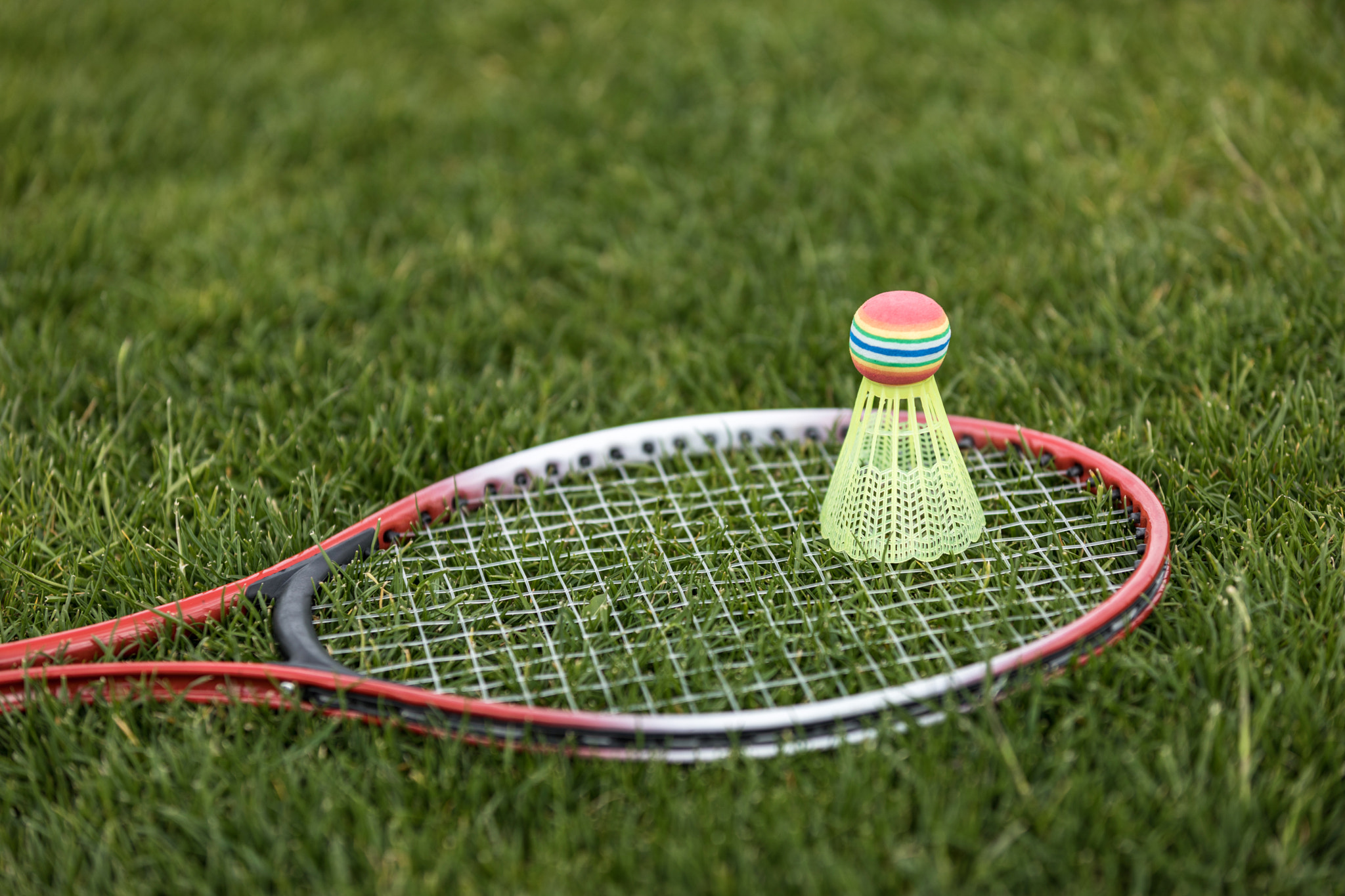 shuttlecock on badminton racket