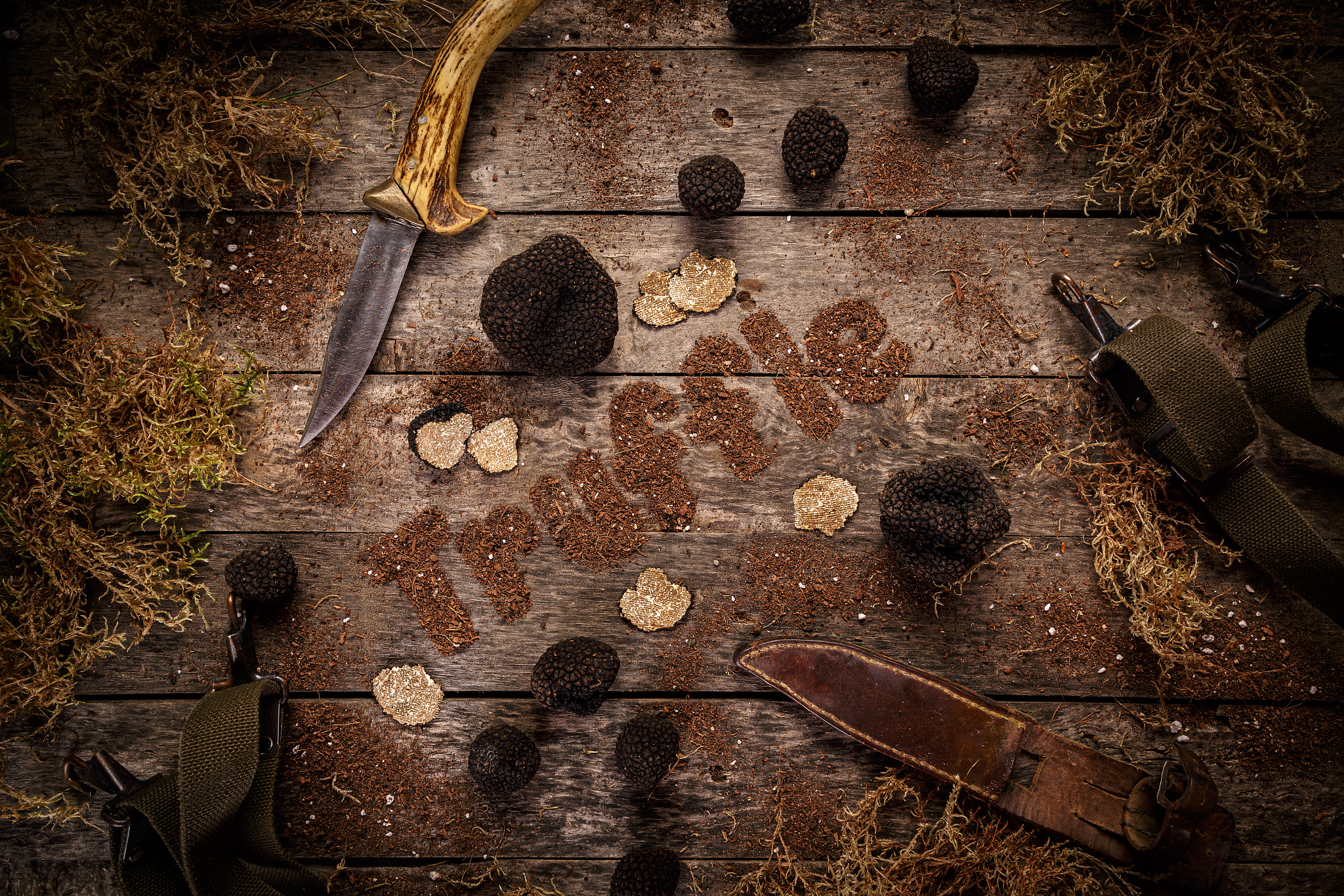 Black truffles mushrooms